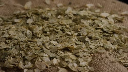 Tiro rotativo de cevada e outros ingredientes de fabricação de cerveja