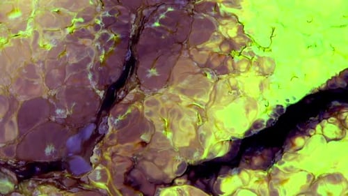 Abstract Colorful Paint Ink Explode Diffusion Psychedelic Movement 25