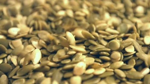 Pumpkin Seeds Falling, Close-Up Food Footage