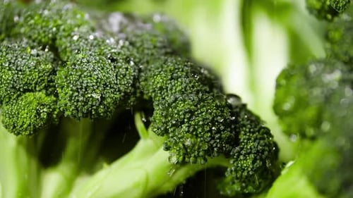 Broccoli With Drops of Water, Beautiful Video, Raw Organic Food , Organic Harvest in Garden, Farming