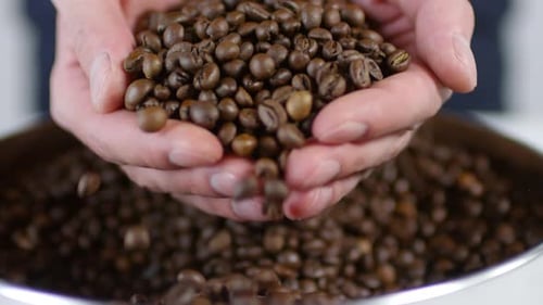 Mann nimmt eine Handvoll Kaffeebohnen