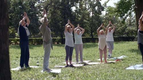 Seniors Practicing Yoga With Instructor in Park
