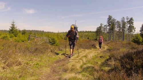 Hiking couple: two hikers (man and woman) walking together on the trail with backpacks,