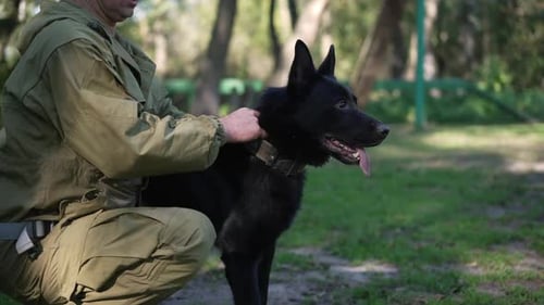 Man Pets Loyal Black Dog Outdoors