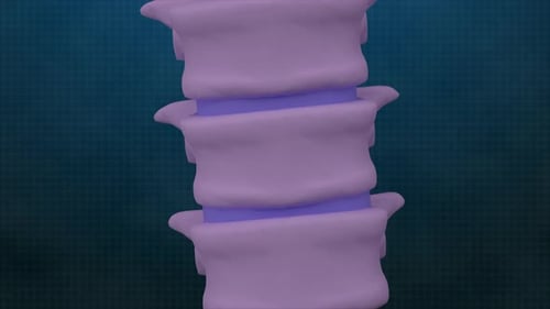 3D Spinal Column Flexing Medical Animation