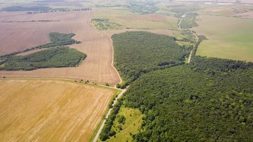 Aerial view of green summer forest with many fresh trees and rural farm fields.