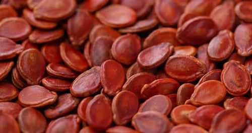 Stack of red melon seed