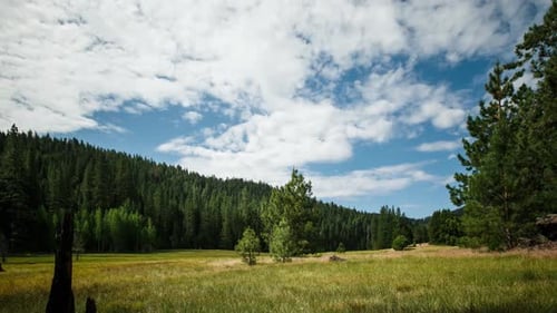 Meadow And Clouds Time Lapse