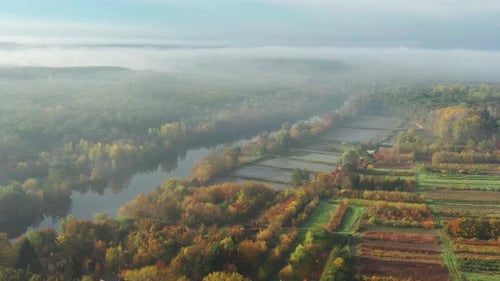 Beautiful morning, summer flight over the river. Fog, trees