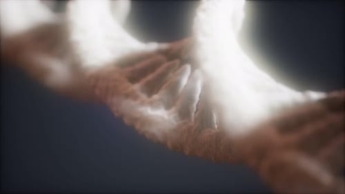 Rotating 3D DNA Double Helix for Science and Medical Projects