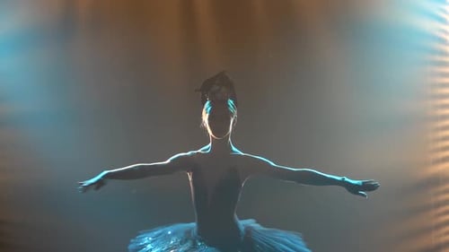 Silueta de una hermosa joven con un tutú negro con lentejuelas y una corona. Graceful Ballerina en