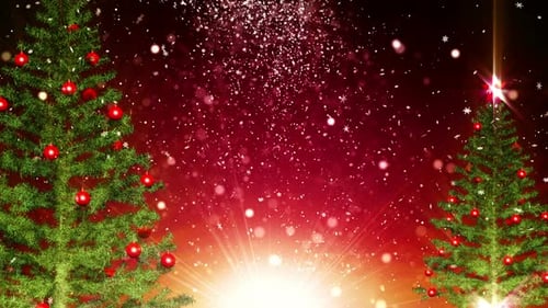 Festive Christmas Trees with Sparkling Snow and Radiant Light Background