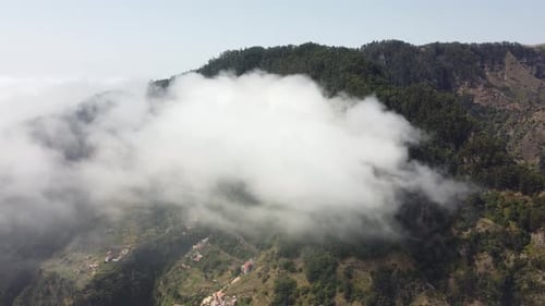 Drone view flying over a forest with clouds. Deep forest from above with passing clouds.
