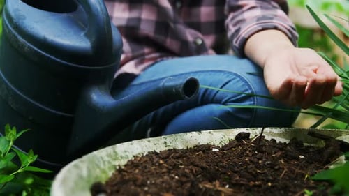 Woman sowing seeds in the garden