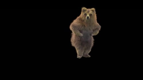 160 Bear Dancing HD