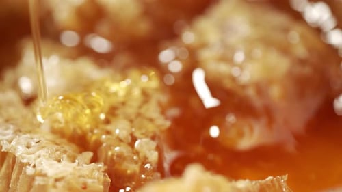 Uma colher de mel de madeira está mergulhada no favo de mel