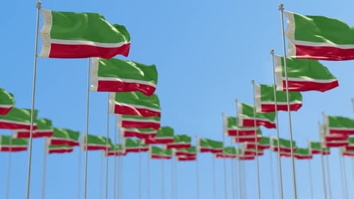 Seamless Waving Flag Field Motion Graphic