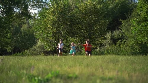 Front View Three Little Girls Run on the Grass Sunny Day