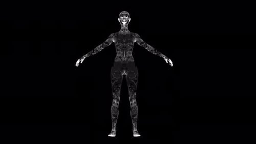 Rotating Futuristic Wireframe Human Figure Hologram Loop