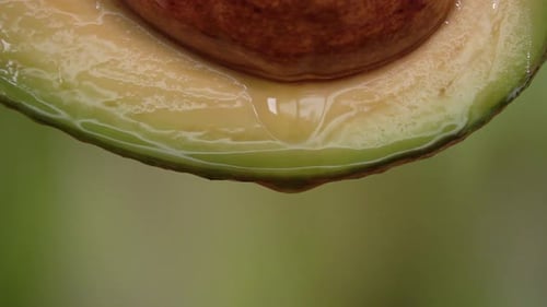 Fresh Avocado and Oil in Slow Motion