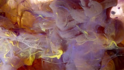 Macro Universe Acrylic Multi Colored Paints Amazing Texture Paints in Water