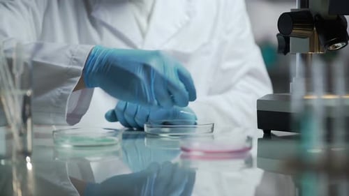 Scientist Working with Petri Dishes in Laboratory