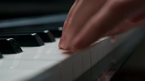 Selective focus to piano key and fingers to play the piano. There are musical instrument for concert