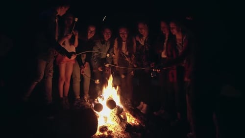 Young Adults Toasting Marshmallows Around Campfire at Night