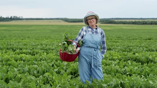 Woman Standing On Field Of Beets.