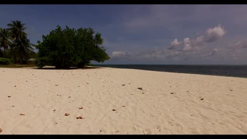 Luftaufnahme über der Natur der perfekten Küstenstrandtierwelt durch klares Meer mit weißem Sandhintergrund eines d