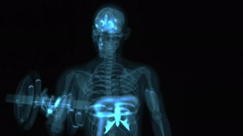 4K abstract anatomy of a X-ray man doing Biceps Curls