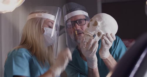 Coworking-Zahnärzte diskutieren über Schädelanatomie