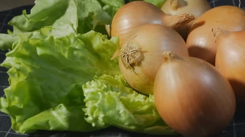 Lots of Onion Heads and Juicy Green Lettuce. Vegetables with Herbs Rotate. Vitamins for the Whole