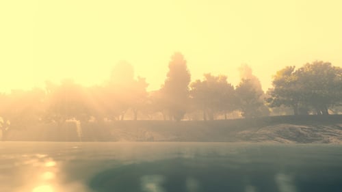 Nature - Sunny Day