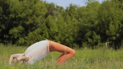 Woman Practices Yoga In The Park