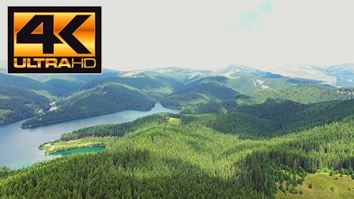 Flying Over the Mountain Forest