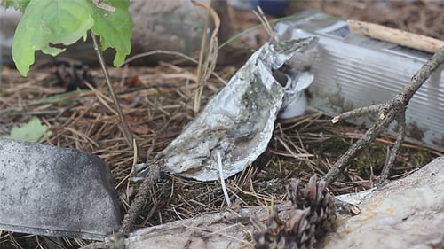 Discarded Cans and Foil Litter Forest Floor