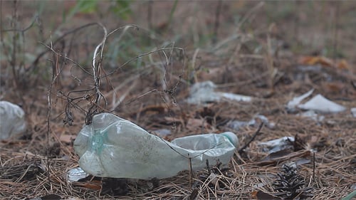 Plastic Bottles Littering the Ground in Natural Area