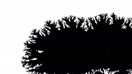 Abstract Black Ink Blots Animation on White