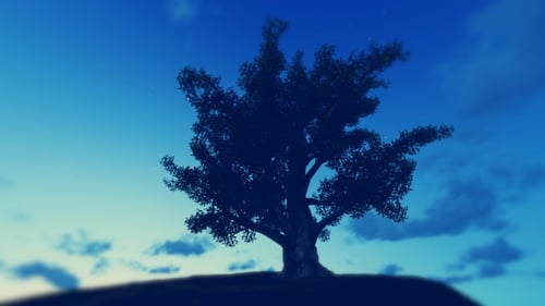Dynamic Tree and Sky Time-Lapse Animation
