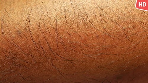 Extreme Close Up of Skin and Hair