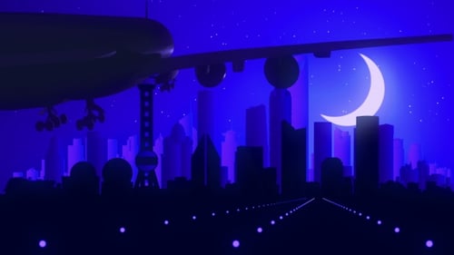 Shanghai China Airplane Landing Skyline Moonlight Night