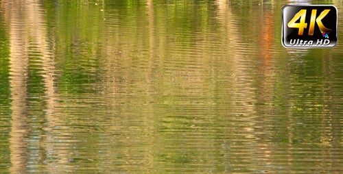 The Lake and People Reflection
