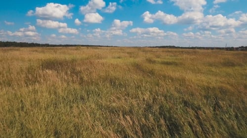 Aerial Green Field And Blue Sky With Clouds