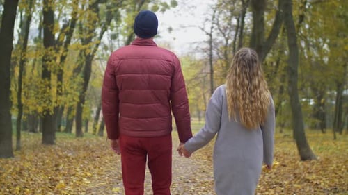 Romantisches Paar spaziert gemeinsam durch Autumn Park