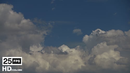 Plane Flying