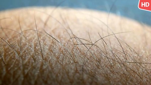 Macro Shot of Human Skin and Hair