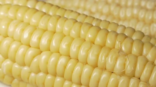 Corn fresh cooked 4H UHD footage pan - Fresh cooked corn UHD 3840X2160 video