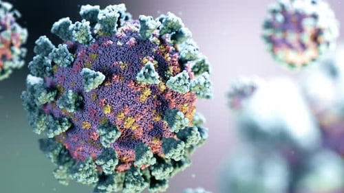 Rotation of Coronavirus Cells