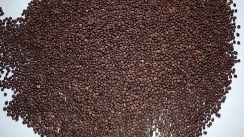 Happy Emoticon Appearing From Coffee Beans